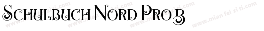 Schulbuch Nord Pro B字体转换